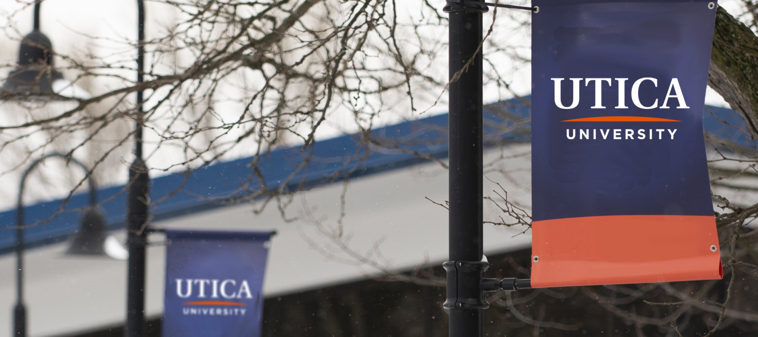 Utica University