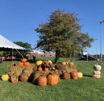 Bales of hay sit on campus surrounded by various colored gourds and pumpkins.