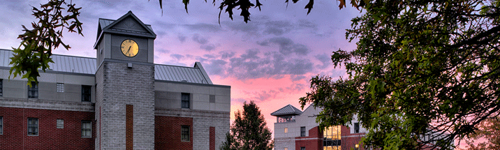 Intensive English Language Program - School of Arts and Sciences